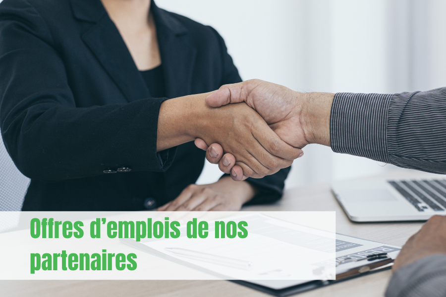 Canevas pour accueil site web (1)