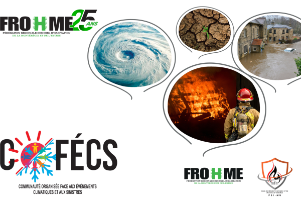 affiche cofecs image2