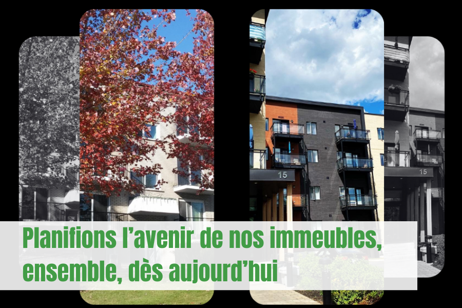 Canevas pour accueil site web